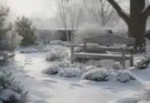 Jardin et neige : impacts, précautions et curiosités au cœur de l’hiver Jardin neige impact