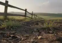 Le repos du sol : mythe ou nécessité ? Repos du sol