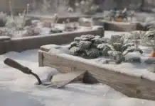 Potager et neige : défis et ressources pour le jardinier en hiver potager neige ressource