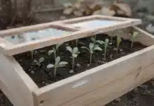 Fabriquer une mini-serre ou un châssis froid pour les semis de février Mini serre froide