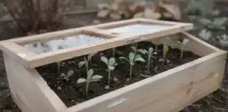 Fabriquer une mini-serre ou un châssis froid pour les semis de février Mini serre froide