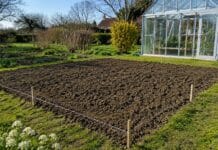 Comment bien choisir l’emplacement de son futur potager ?