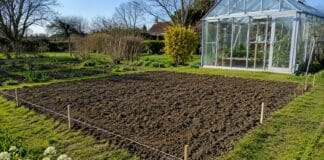 Comment bien choisir l’emplacement de son futur potager ?