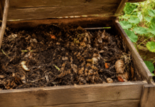 Réussir son compost : le guide complet pour un engrais 100% naturel Composteur en bois ouvert avec compost mur et dechets organiques