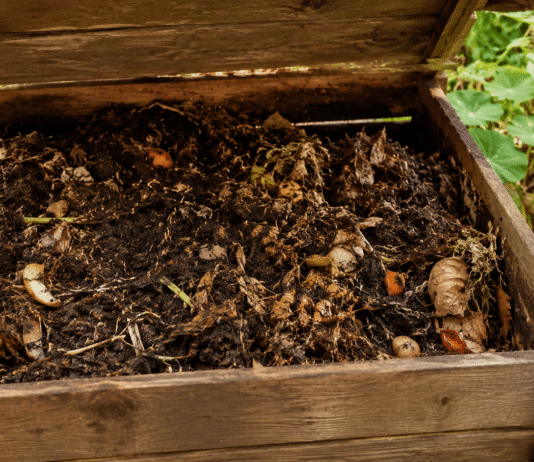 Réussir son compost : le guide complet pour un engrais 100% naturel Composteur en bois ouvert avec compost mur et dechets organiques