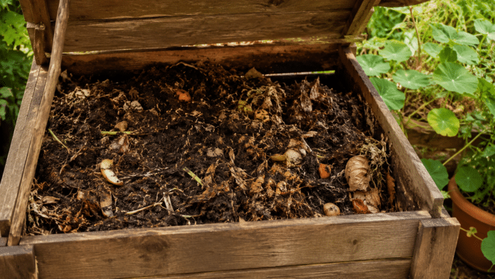 Faire son compost au potager bio Composteur en bois ouvert avec compost mur et dechets organiques