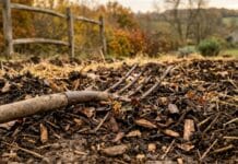 Préparer son potager pour l’hiver sans terre nue